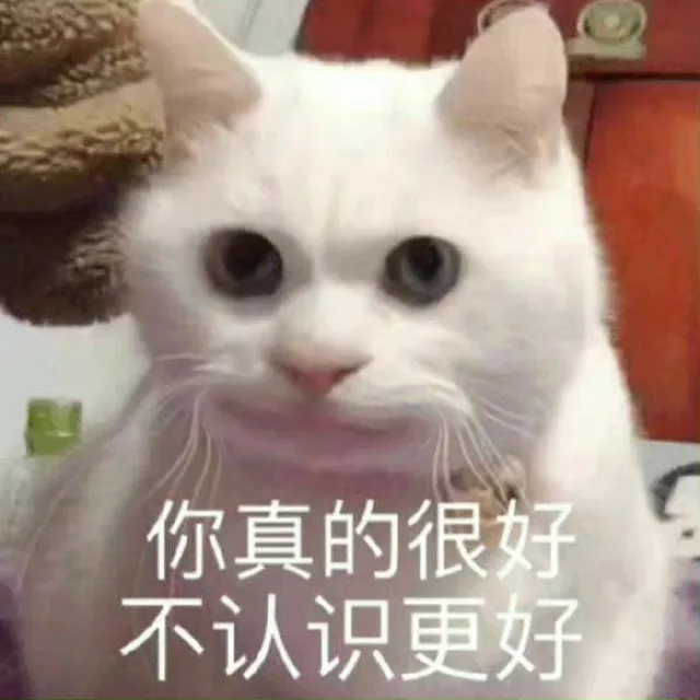你真的很好不认识更好（你真的很好不认识更好）