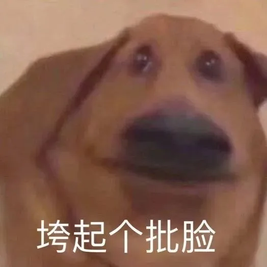 垮起个批脸