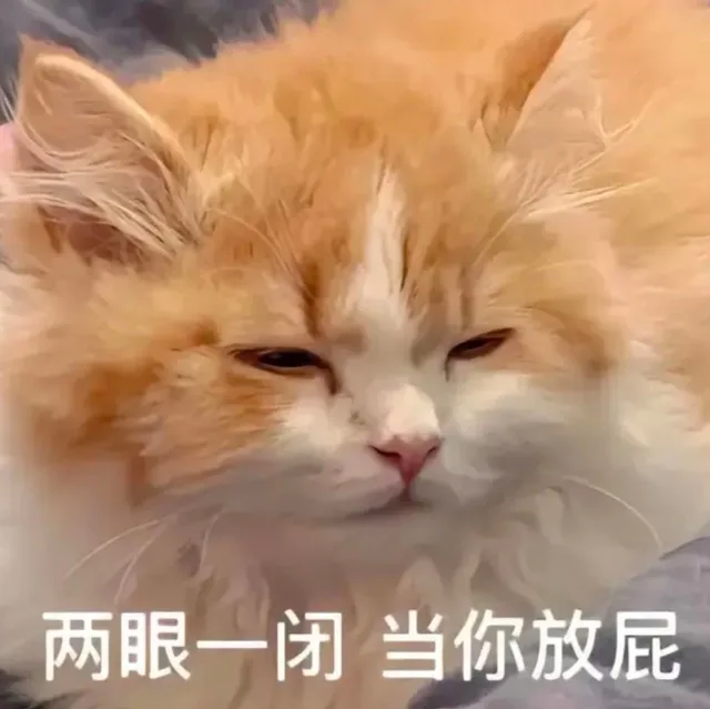 两眼一闭当你放屁（两眼一闭当你放屁）