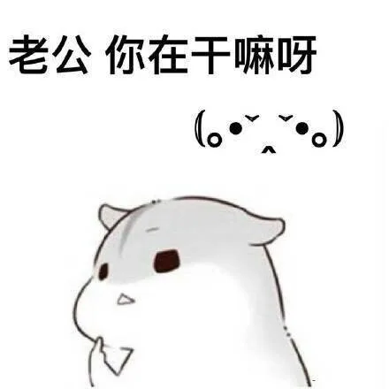 老公你在干嘛呀（老公你在干嘛呀）