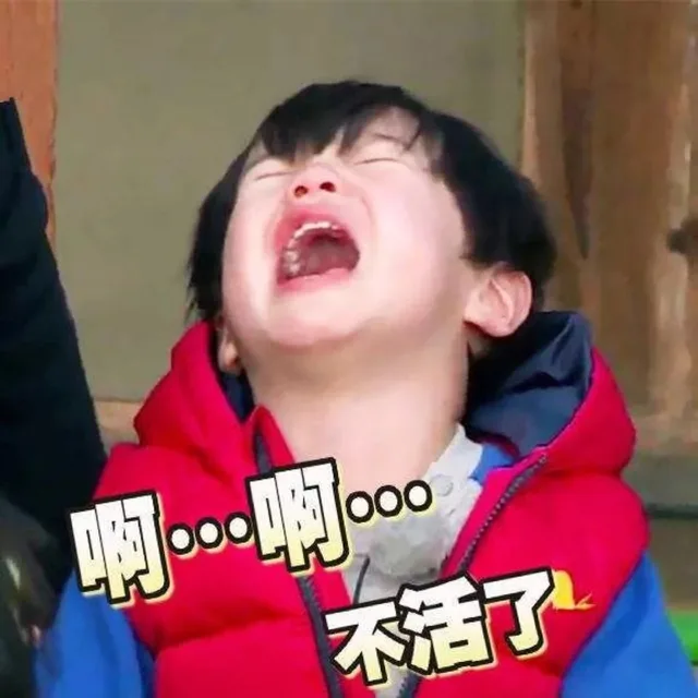 啊。。。啊 不活了