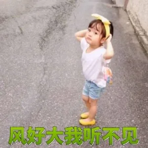 风好大我听不见