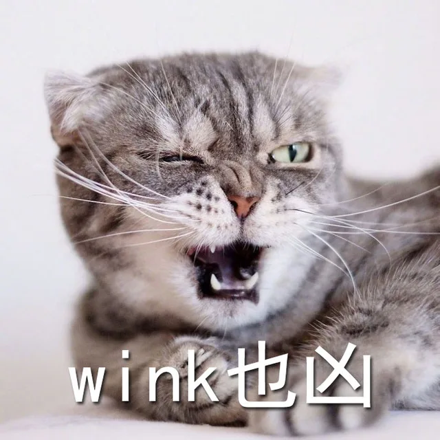 wink 也凶（wink 也凶）