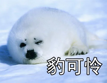 豹可怜（豹可怜）