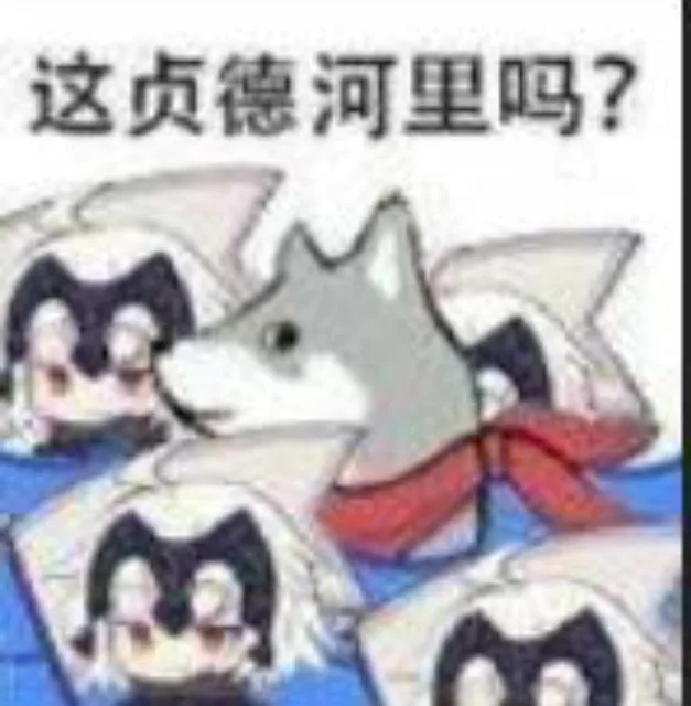 这贞德河里吗?(河狸表情包)