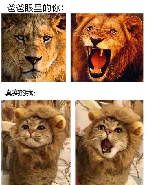 爸爸眼里的你:真实的我: