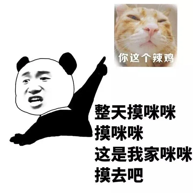 整天摸咪咪，这是我家咪咪摸去吧_斗图_装逼