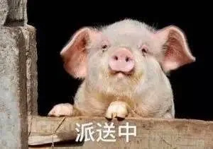 派送中