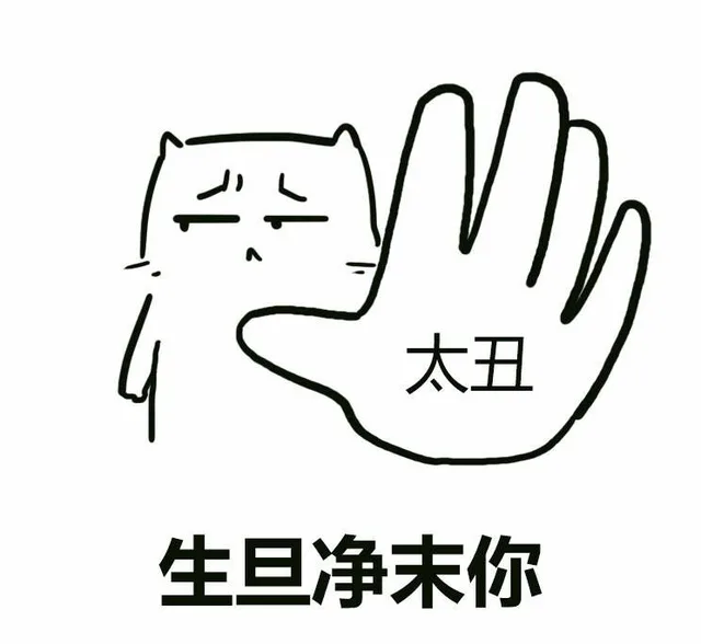 生旦净末丑 生旦净末你（太丑）