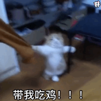 带我吃鸡