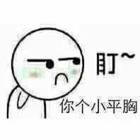 盯你个小平胸