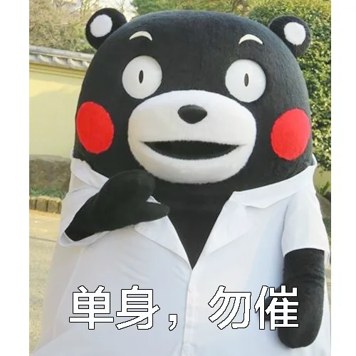 单身，勿催（单身，勿催）