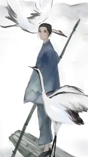 手机壁纸