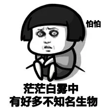 茫茫白雾中，有好多不知名生物，好怕怕