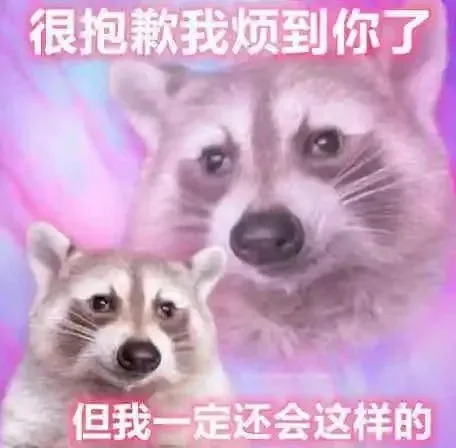 很抱歉我烦到你了但我一定还会这样的（很抱歉我烦到你了但我一定还会这样的）