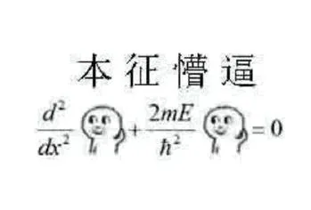 本征懵逼