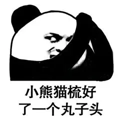熊猫头发型梳理全过程 _恶搞_熊猫头