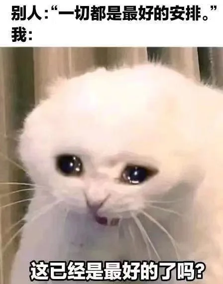 别人：“一切都是最好的安排。”我：这已经是最好的了吗？（别人：“一切都是最好的安排。”我：这已经是最好的了吗？）