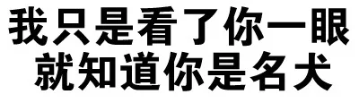 我只是看了你一眼 就知道你是名犬（我只是看了你一眼 就知道你是名犬）