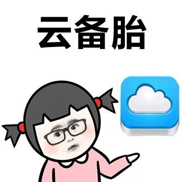 云备胎