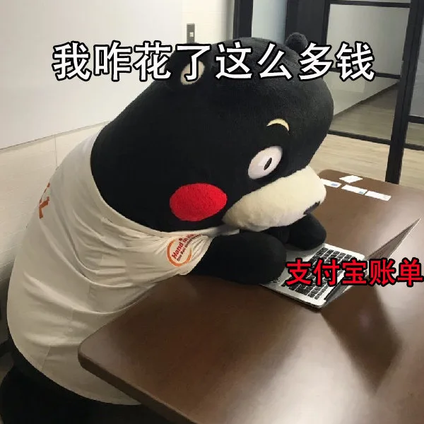 拿到支付宝账单的你 _熊本熊_账单_支付宝