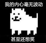 我的内心毫无波动，甚至还想笑