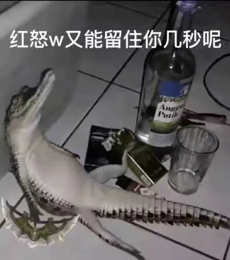 红怒w又能留住你几秒呢Putil(英雄联盟鳄鱼表情包)（红怒w又能留住你几秒呢Putil(英雄联盟鳄鱼表情包)）