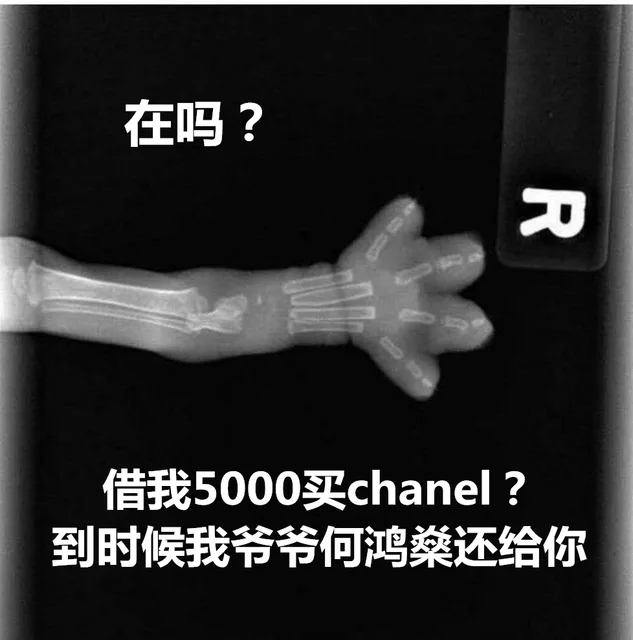 在吗借我5000买 chanel到时候我爷爷何鸿燊还给你