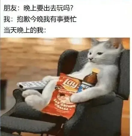 朋友：晚上要出去玩吗？我：抱歉今晚我有事要忙当天晚上的我：a（朋友：晚上要出去玩吗？我：抱歉今晚我有事要忙当天晚上的我：a）