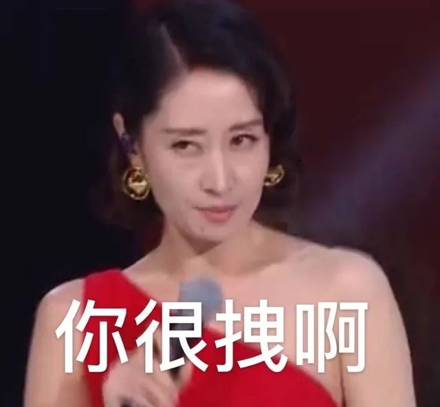 你很拽啊(刘敏涛表情包)