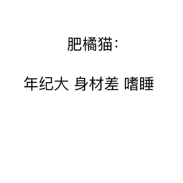 肥橘猫：年纪大 身材差 嗜睡（肥橘猫：年纪大 身材差 嗜睡）