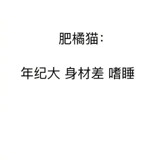 肥橘猫：年纪大 身材差 嗜睡
