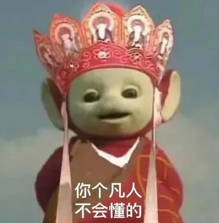 你个凡人不会懂的