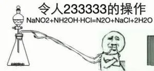 员令人233333的操作E Nano2+nh20h-hcl-n20+Nacl+2H20