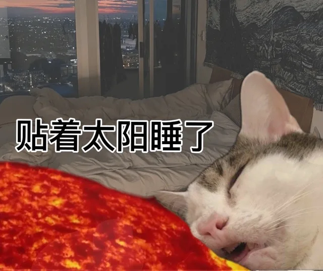 贴着太阳睡了（贴着太阳睡了）