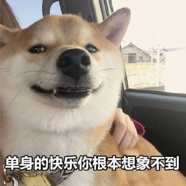 单身狗 doge 表情包系列