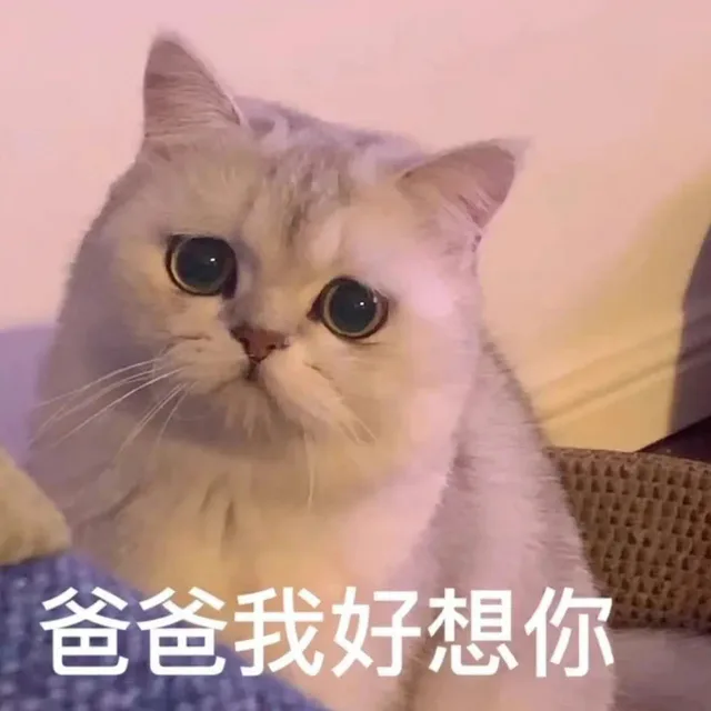 爸爸我好想你（爸爸我好想你）