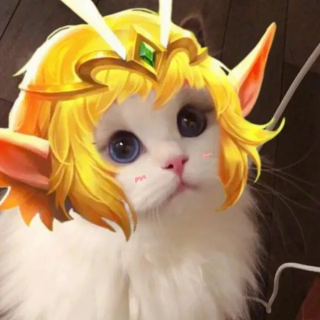 王者荣耀猫头头像2