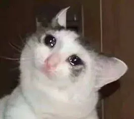 流泪猫猫头