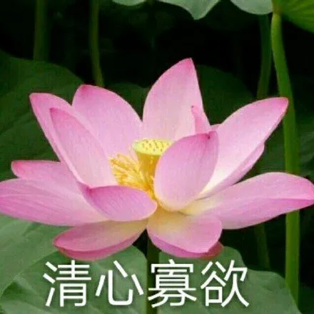 清心寡欲（清心寡欲）