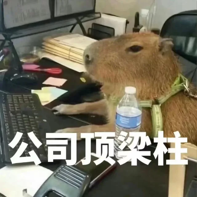 公司顶梁柱（公司顶梁柱）