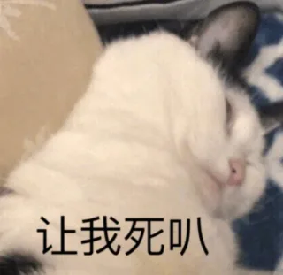 让我死叭