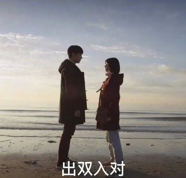出双入对
