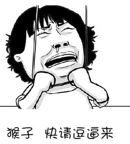 猴子 快请逗逼来