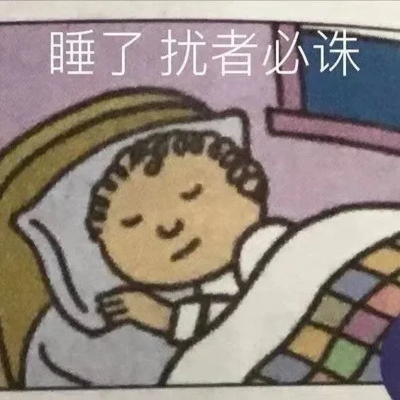 睡了扰者必诛（睡了扰者必诛）