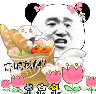 萌版熊猫头斗图表情表情包