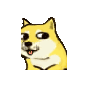 魔性doge小黄狗动图