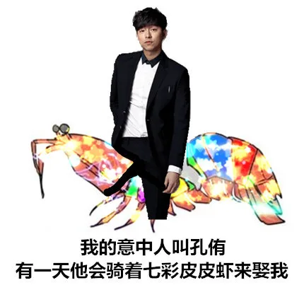 我的意中人叫陈孔侑，有一天他会骑着七彩皮皮虾来娶我