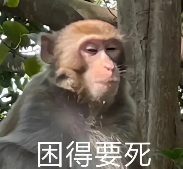 困得要死（困得要死）