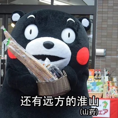 还有远方的淮山（山药）
